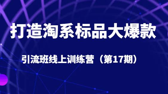 打造淘系标品大爆款引流班线上训练营（第17期）5天直播授课