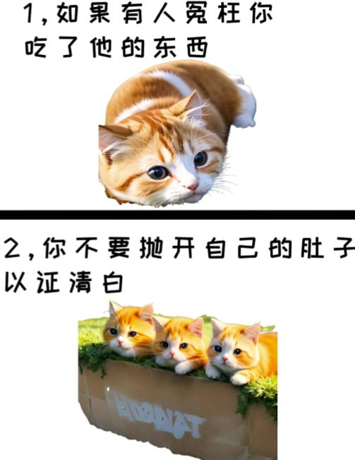 治愈系萌猫加+黑鸡汤文案，小红书商单玩法，3~10天涨到1000粉，一单200左右