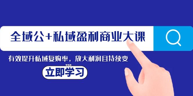 （8045期）全域公+私域盈利商业大课，有效提升私域复购率，放大利润且持续变现