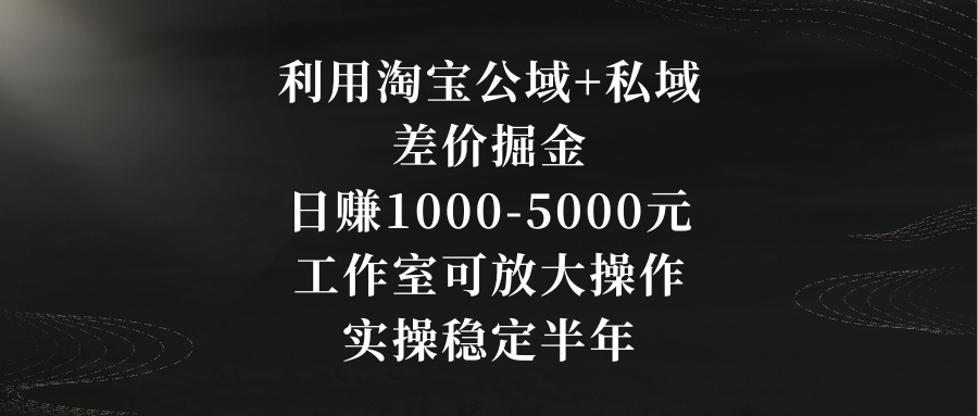 （8952期）利用淘宝公域+私域差价掘金，日赚1000-5000元，工作室可放大操作，实操…