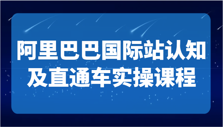 阿里巴巴国际站认知及直通车实操课-国际地产逻辑、国际站运营定位、TOP商家运营思路