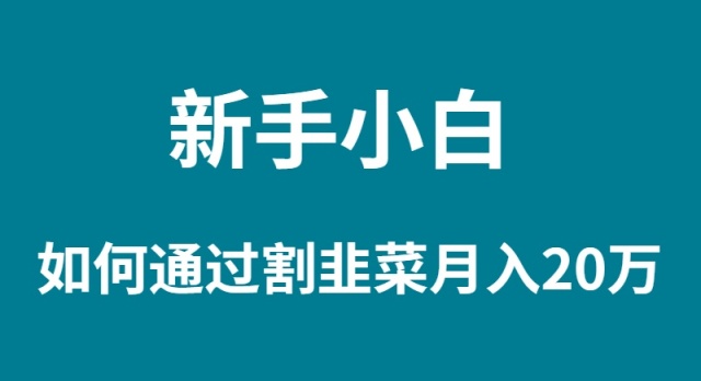 （9308期）新手小白如何通过割韭菜月入 20W