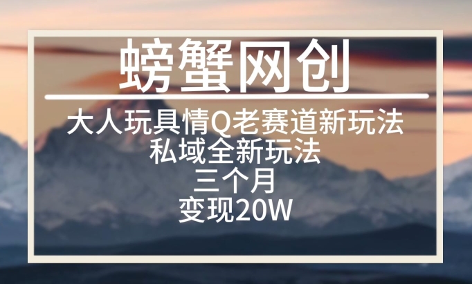 大人玩具情Q用品赛道私域全新玩法，三个月变现20W，老项目新思路