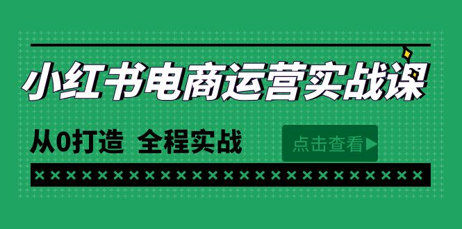 （9946期）最新小红书·电商运营实战课，从0打造  全程实战（65节视频课）