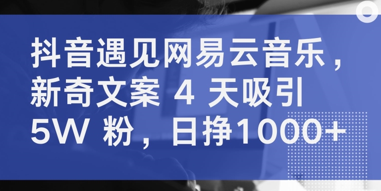 抖音遇见网易云音乐，新奇文案 4 天吸引 5W 粉，日挣1000+