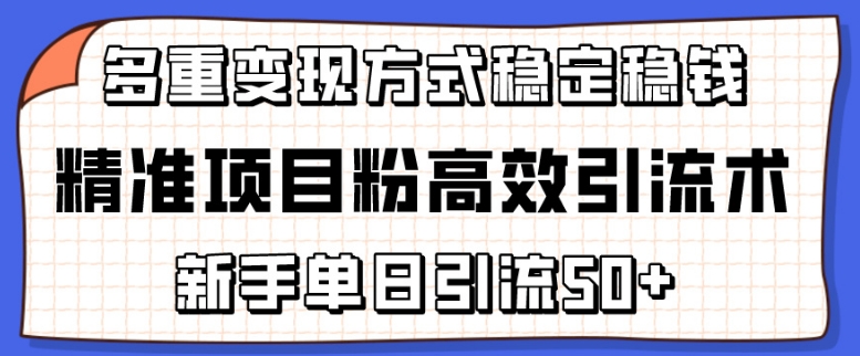 精准项目粉高效引流术，新手单日引流50+，多重变现方式稳定赚钱