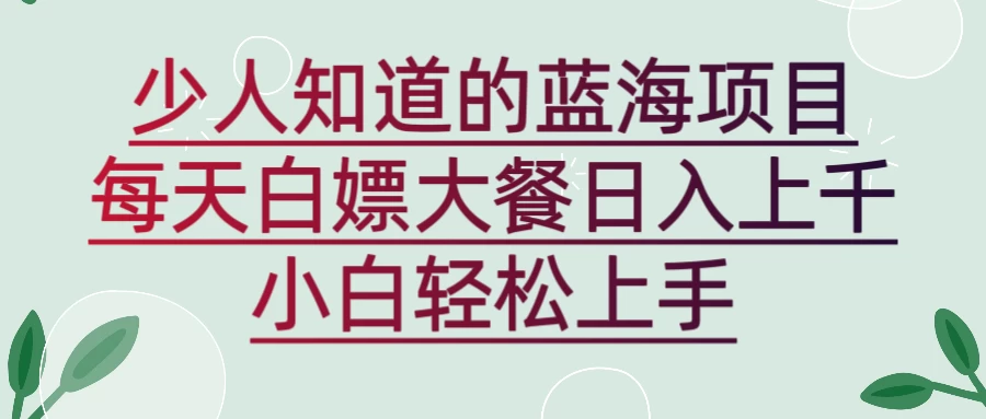 新蓝海长期项目，白嫖大餐日入上千，小白轻松上手