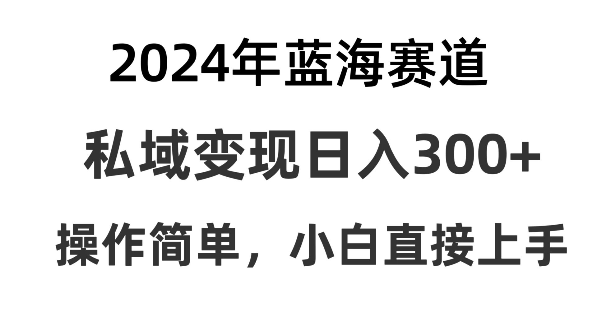 2024抖音蓝海赛道，私域变现日入300+，操作简单，每年只需一小时，纯小白可直接上手