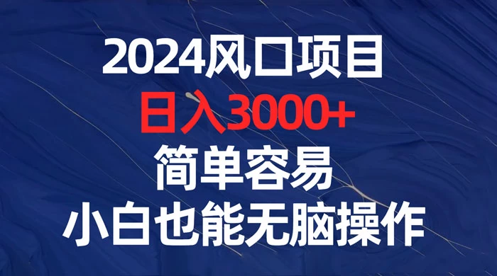 2024 风口项目，日入 3000+，简单容易，小白也能无脑操作