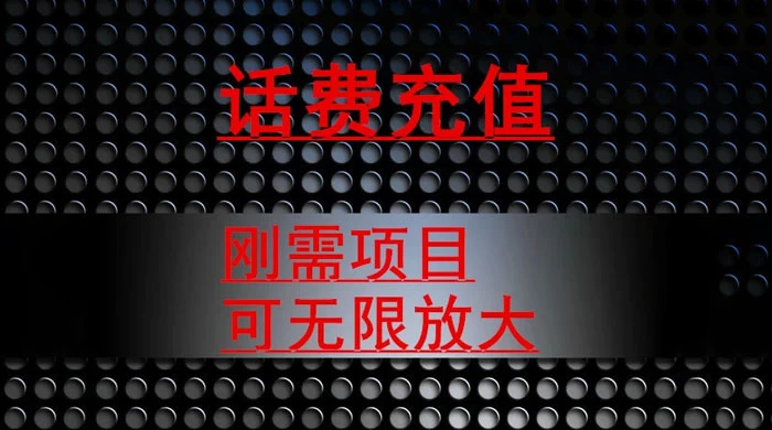 最新蓝海项目，刚需赛道，95 折充话费月入 5 位数