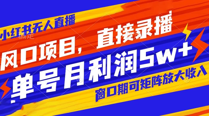 风口项目，小红书无人直播带货，直接录播，可矩阵，月入 5w+