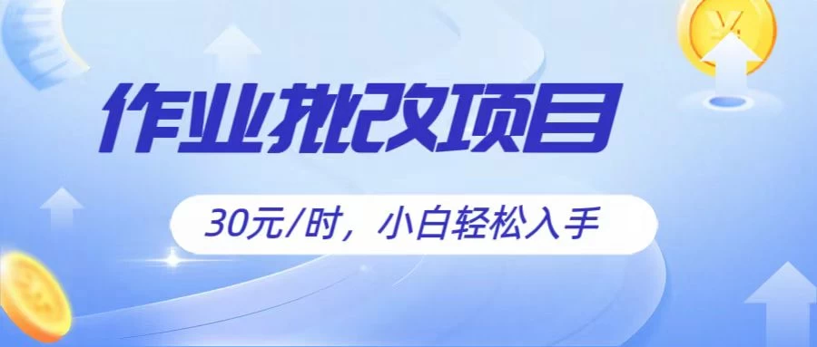 作业批改项目30元/时，小白轻松入手，非常的简单