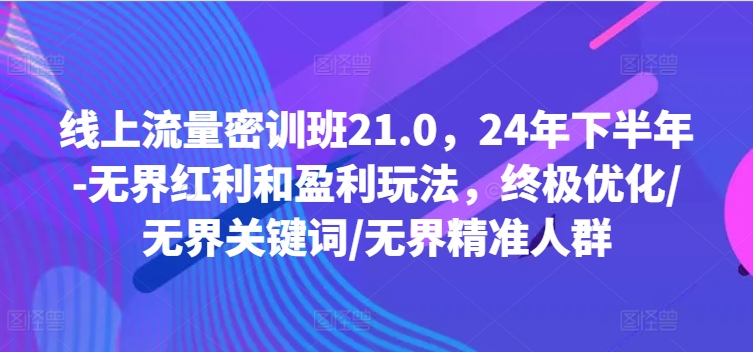 线上流量密训班21.0，24年下半年-无界红利和盈利玩法，终极优化/无界关键词/无界精准人群