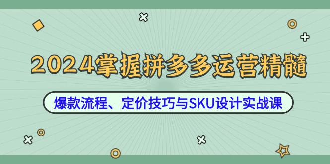 （12703期）2024掌握拼多多运营精髓：爆款流程、定价技巧与SKU设计实战课