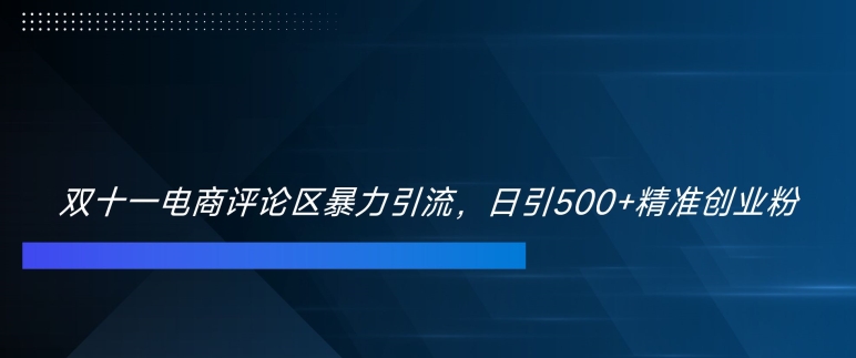 双十一电商评论区暴力引流，日引500+精准创业粉