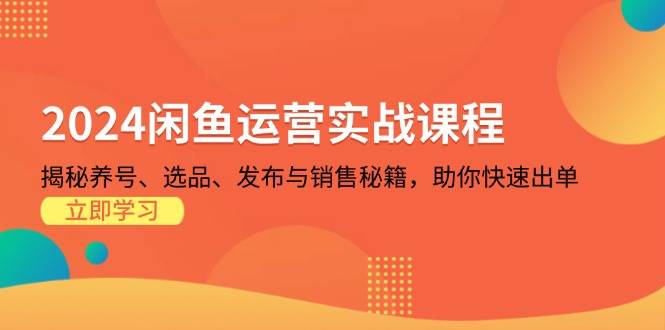 2024闲鱼运营实战课程：揭秘养号、选品、发布与销售秘籍，助你快速出单