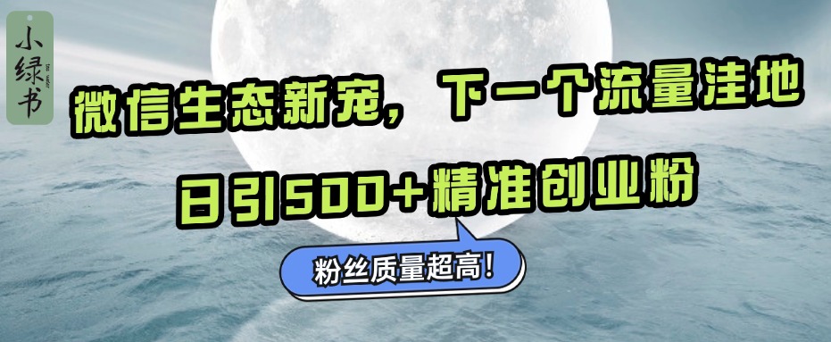 微信生态新宠小绿书：下一个流量洼地，粉丝质量超高，日引500+精准创业粉，-资源之家