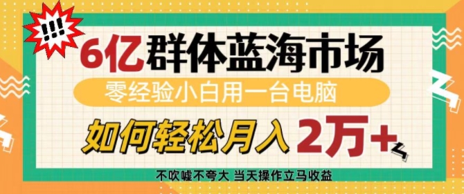 6亿群体蓝海市场，零经验小白用一台电脑，如何轻松月入过w