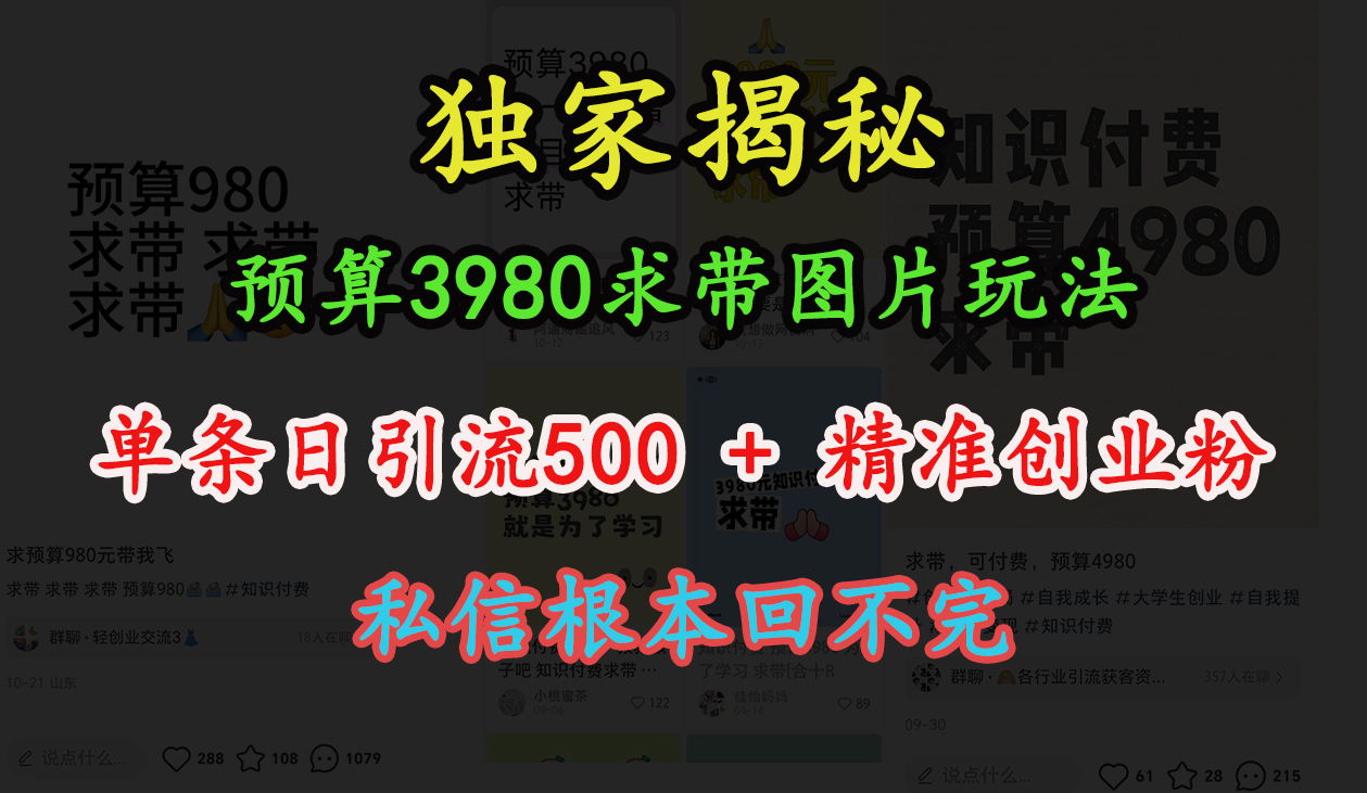 “小红书”预算3980求带 图片玩法，单条日引流500+精准创业粉，私信根本回不完-资源之家