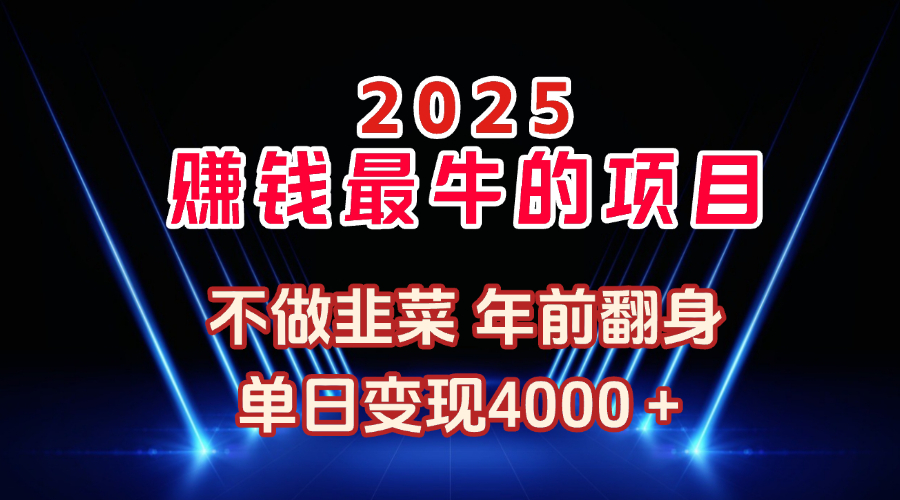 2025年赚钱最牛的项目 不做韭菜 年前翻身