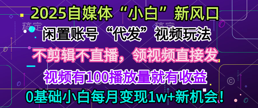 2025每月躺赚5w+新机会，闲置视频账号一键代发玩法，0粉不实名不剪辑，领了视频直接发，0基础小白也能日入300+