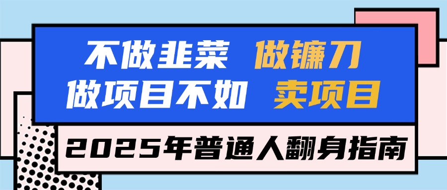 不做韭菜做镰刀，做项目不如卖项目，2025年普通人翻身指南