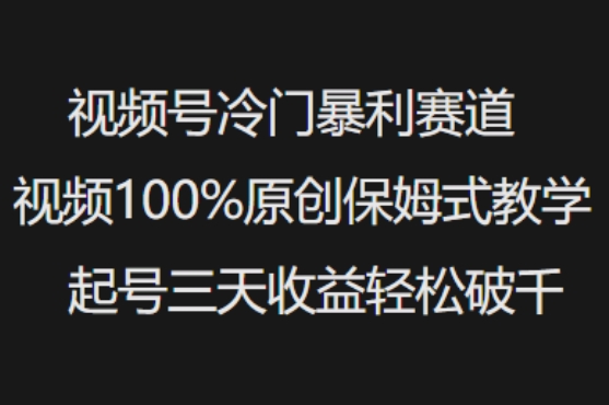 视频号冷门暴利赛道视频100%原创保姆式教学起号三天收益轻松破千