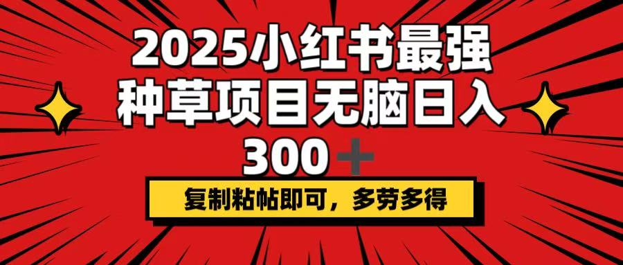 2025小红书最强种草项目，无脑日入300+，复制粘帖即可，多劳多得